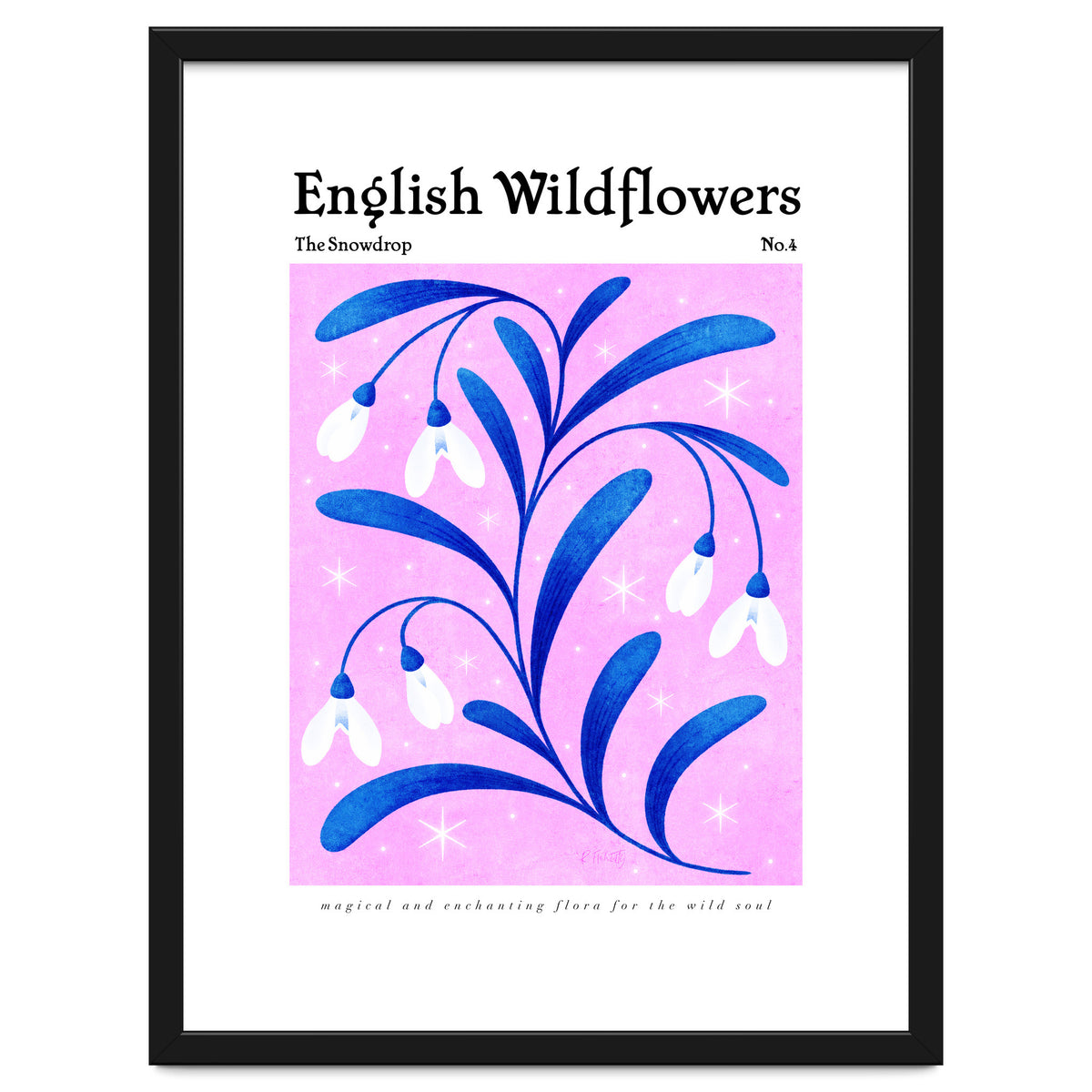 English Wildflowers | Snowdrops