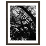 Tree Black Silhouette thumbnail