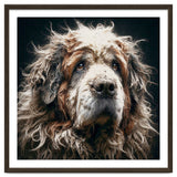 Old Dog 01 thumbnail