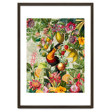 Toucan vintage jungle 1 thumbnail