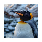 King Penguin In The Snow With Frosty Head (Print Only) thumbnail