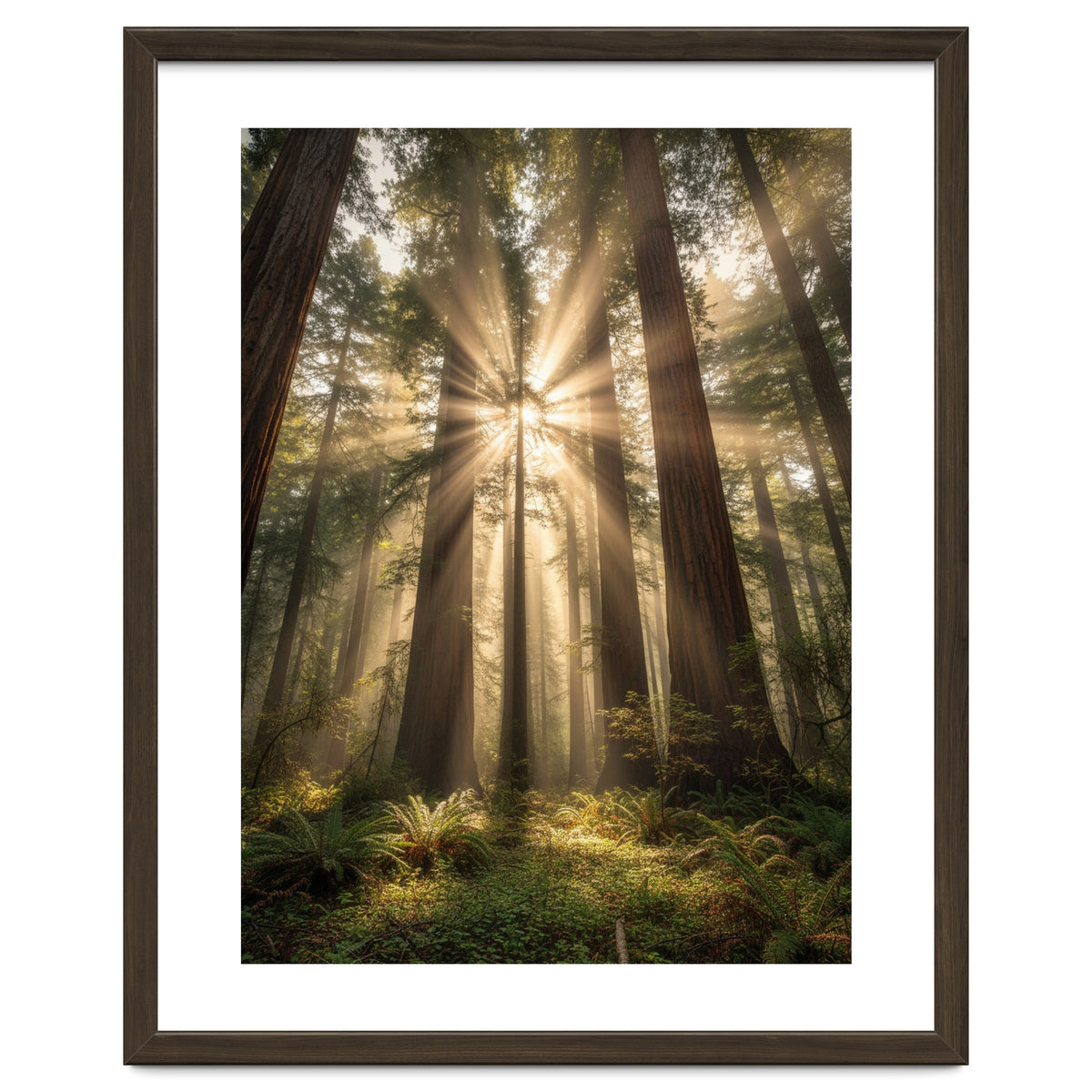 Ethereal Redwood Sanctuary: Sunbeams in the Ancient Forest