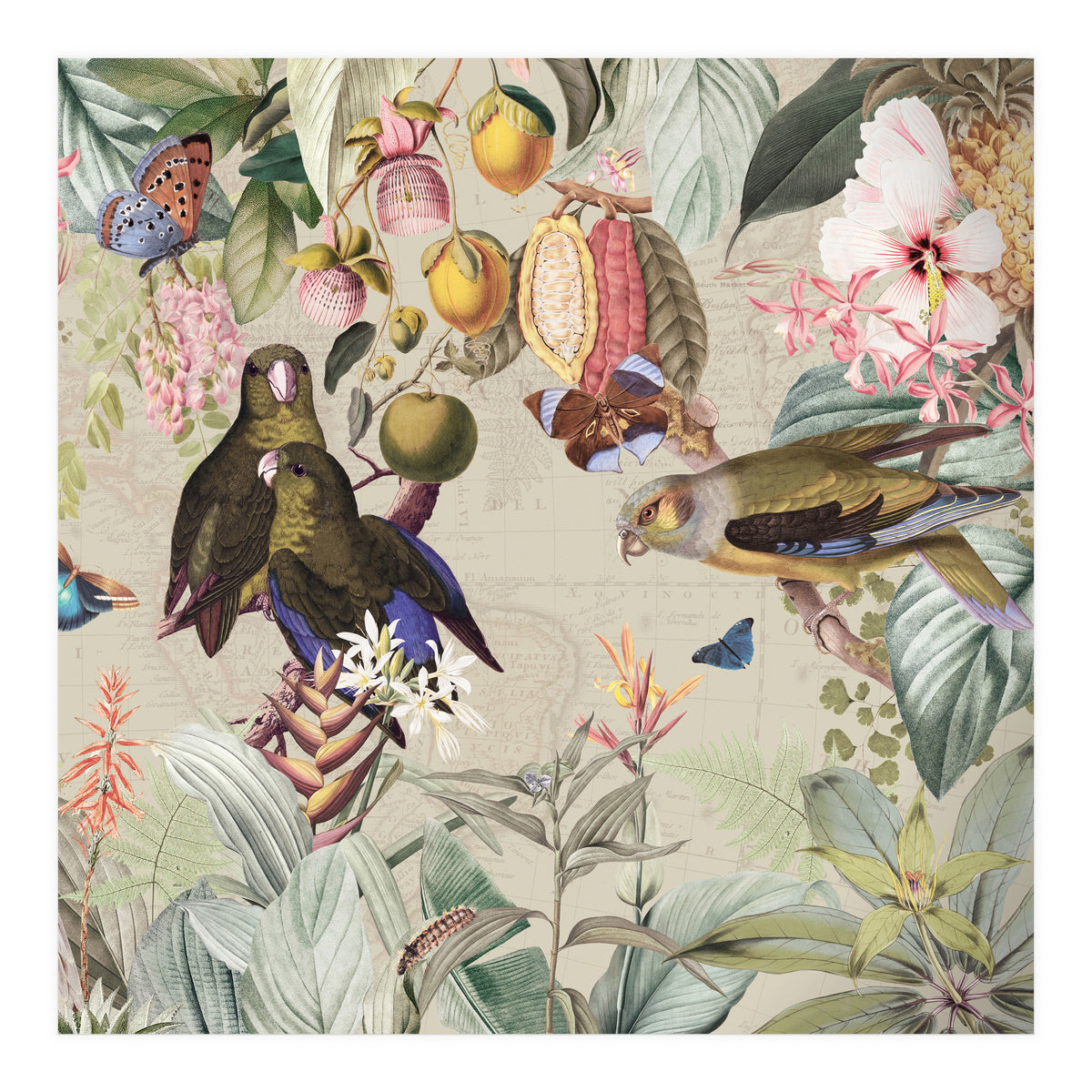 Colorful Parrots And Butterflies In Flower And Fruit Tropical Jungle (Print Only)