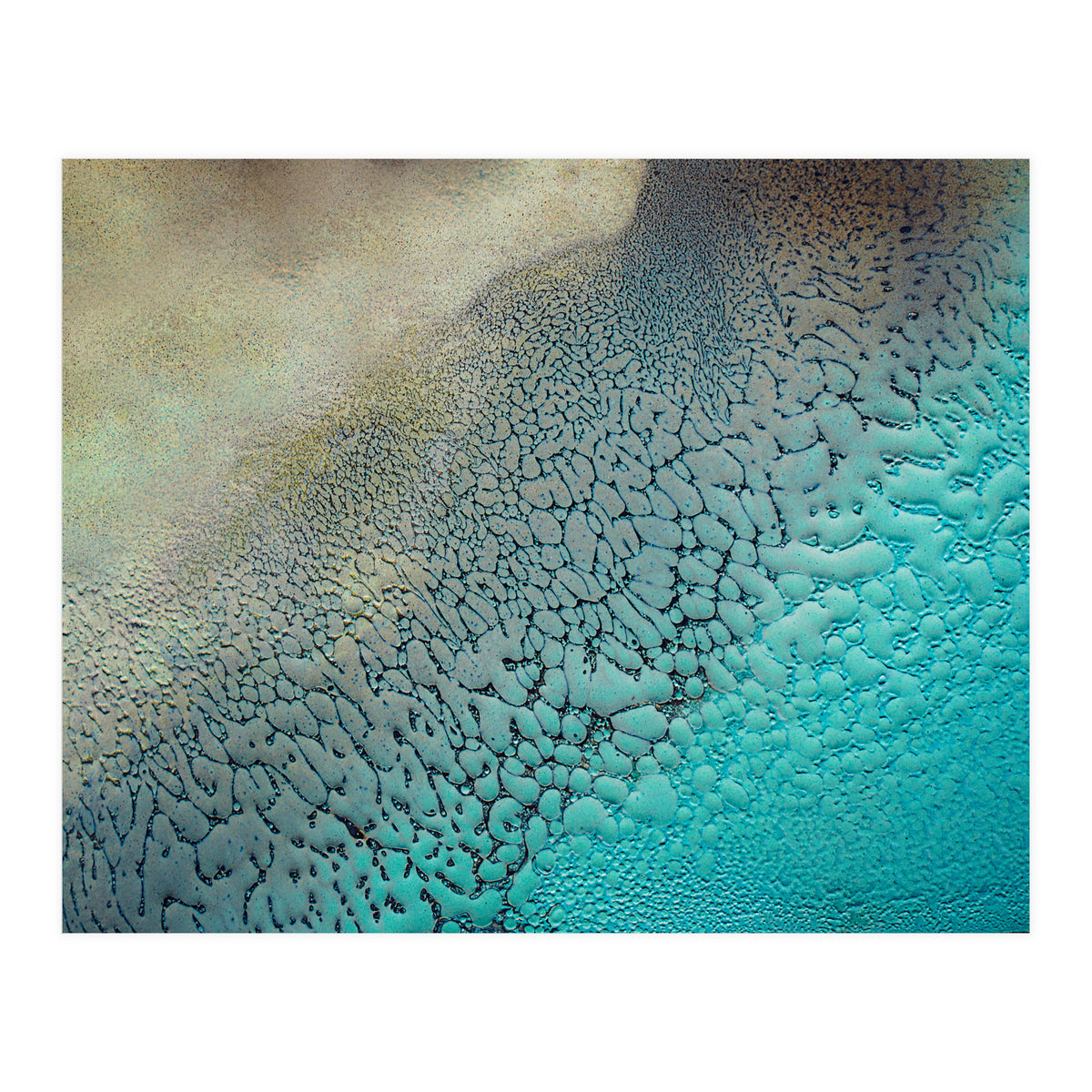 Earthbound (Print Only)