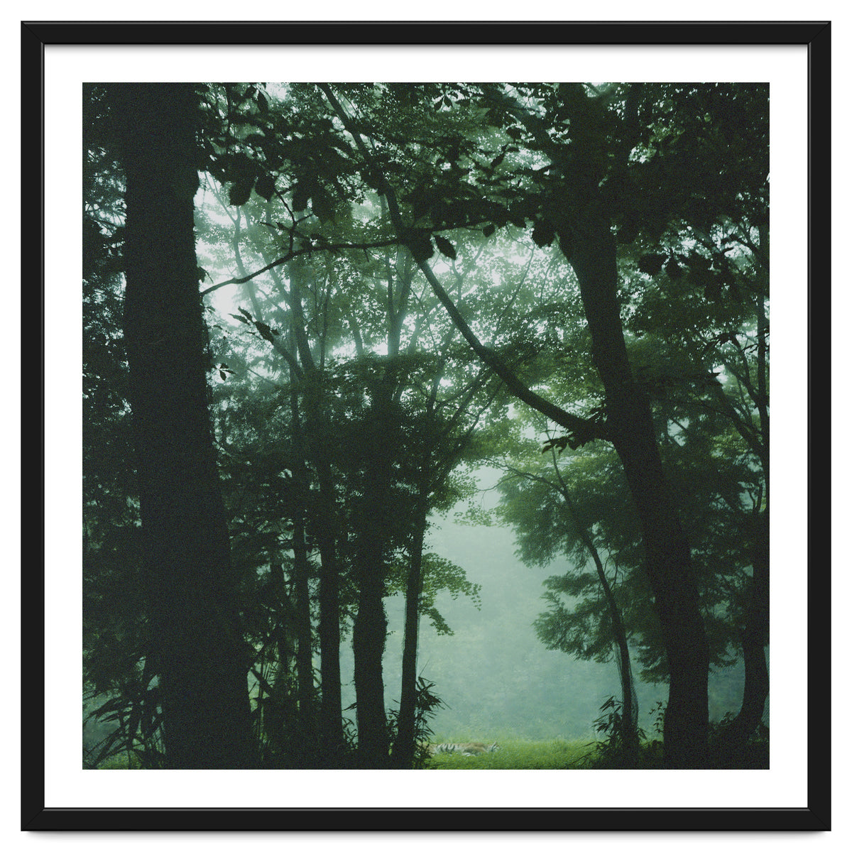 Silence of breath - 13