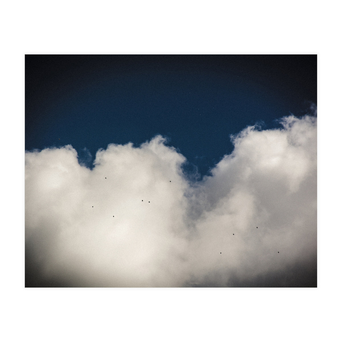 Balloons (Print Only)