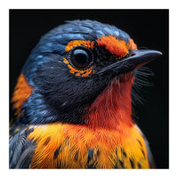 Vibrant Bird With Orange And Blue Plumage (Print Only)