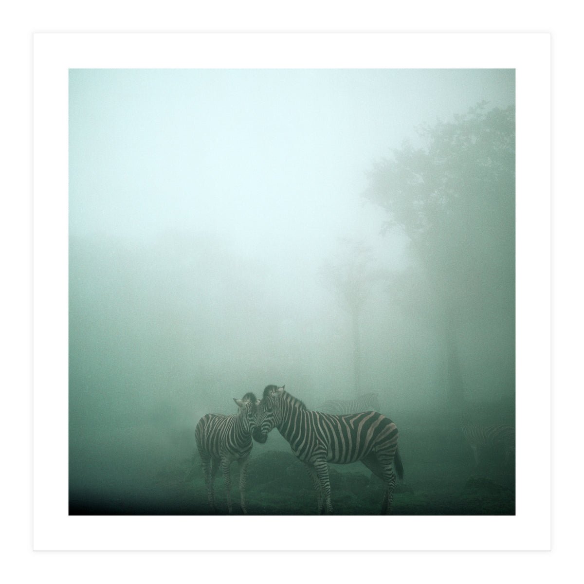 Silence of breath - 11 (Print Only)