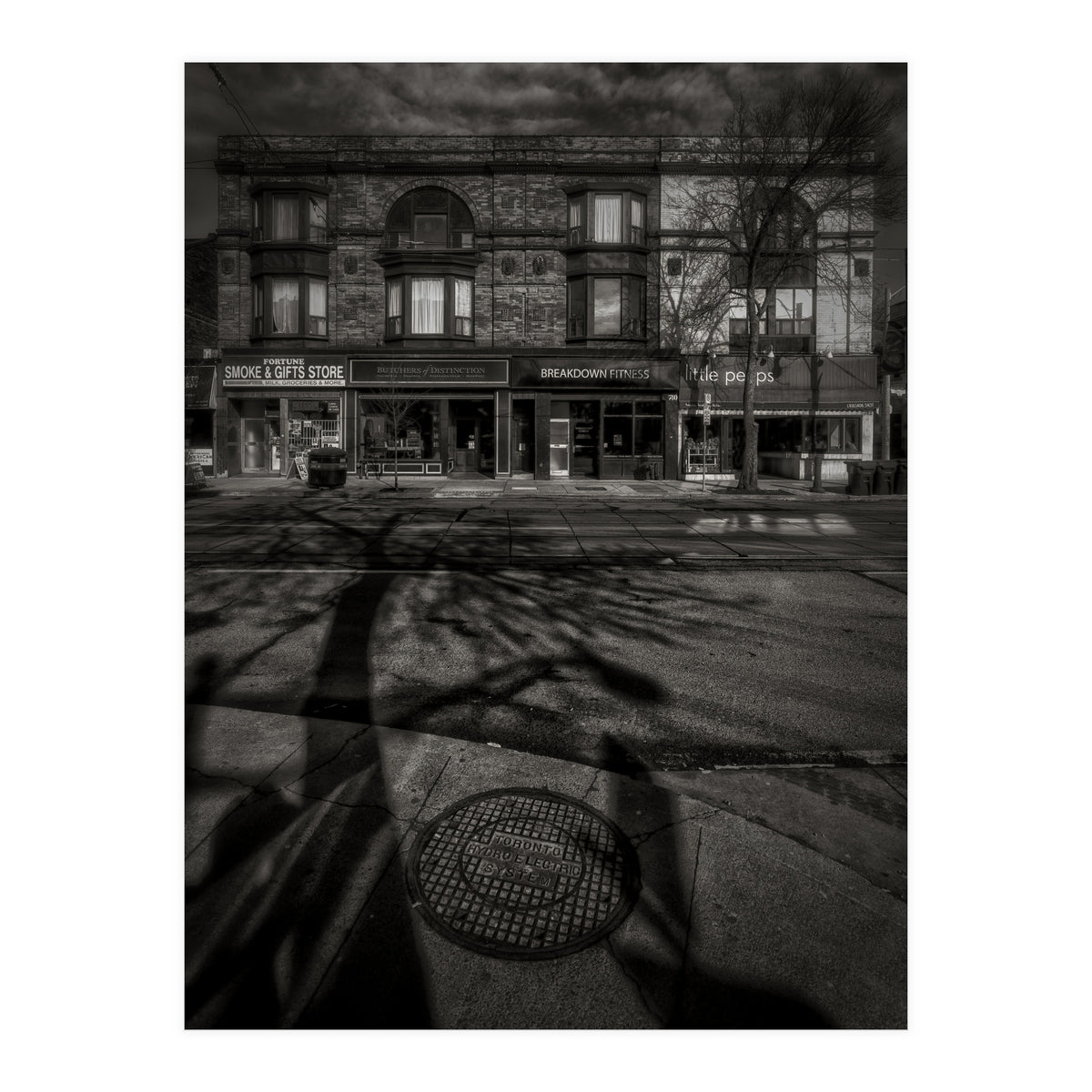 Nos 736 - 742 Queen St E 2 (Print Only)