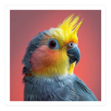 Cockatiel Parrot Head Close Up Portrait (Print Only) thumbnail