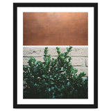 Plant + Copper thumbnail
