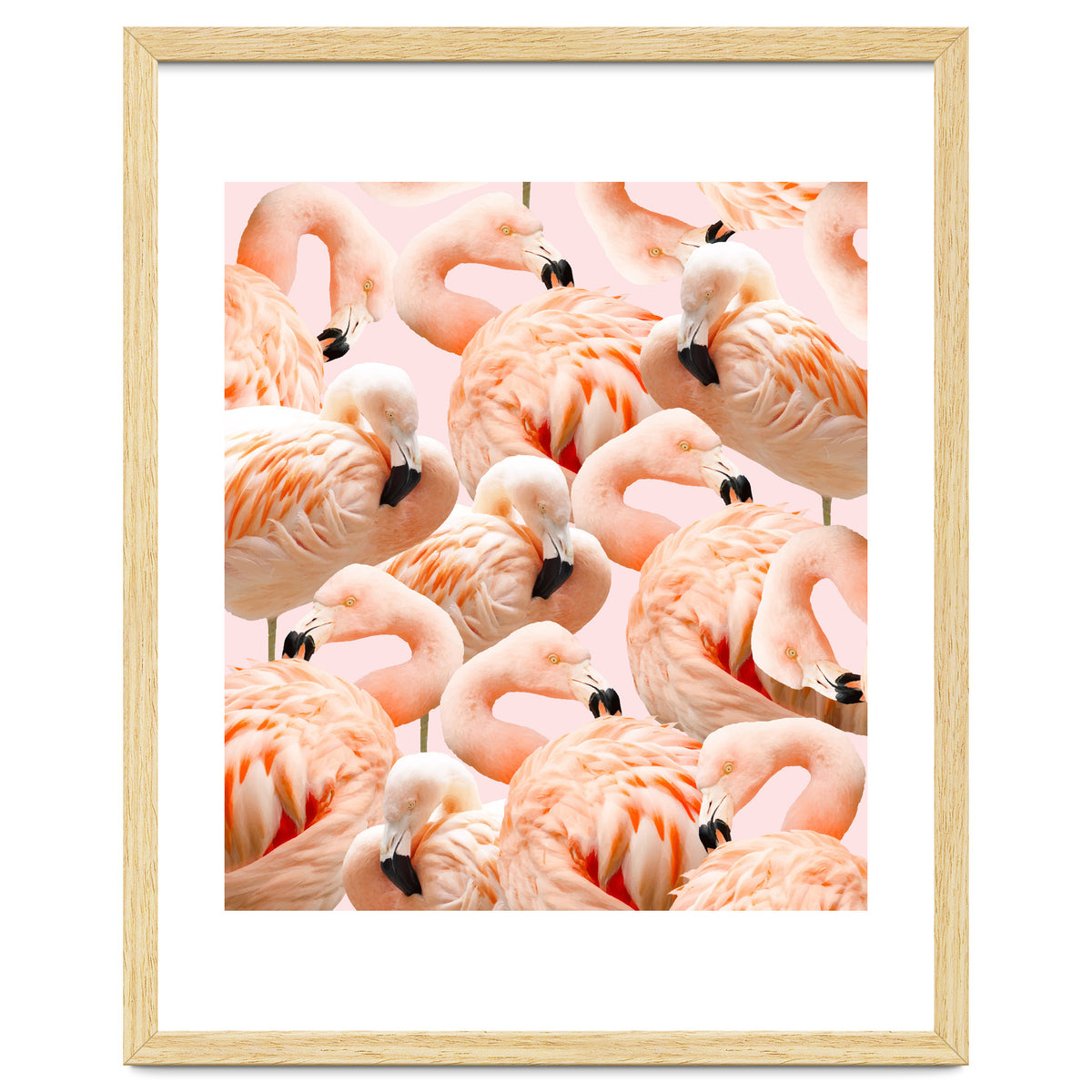 Flamingo Blush #society6 #decor #buyart #flamingoart