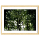 Light bulb among the trees in the summer forest thumbnail