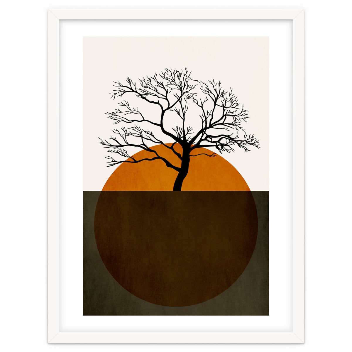 Sunny Days Of Silence