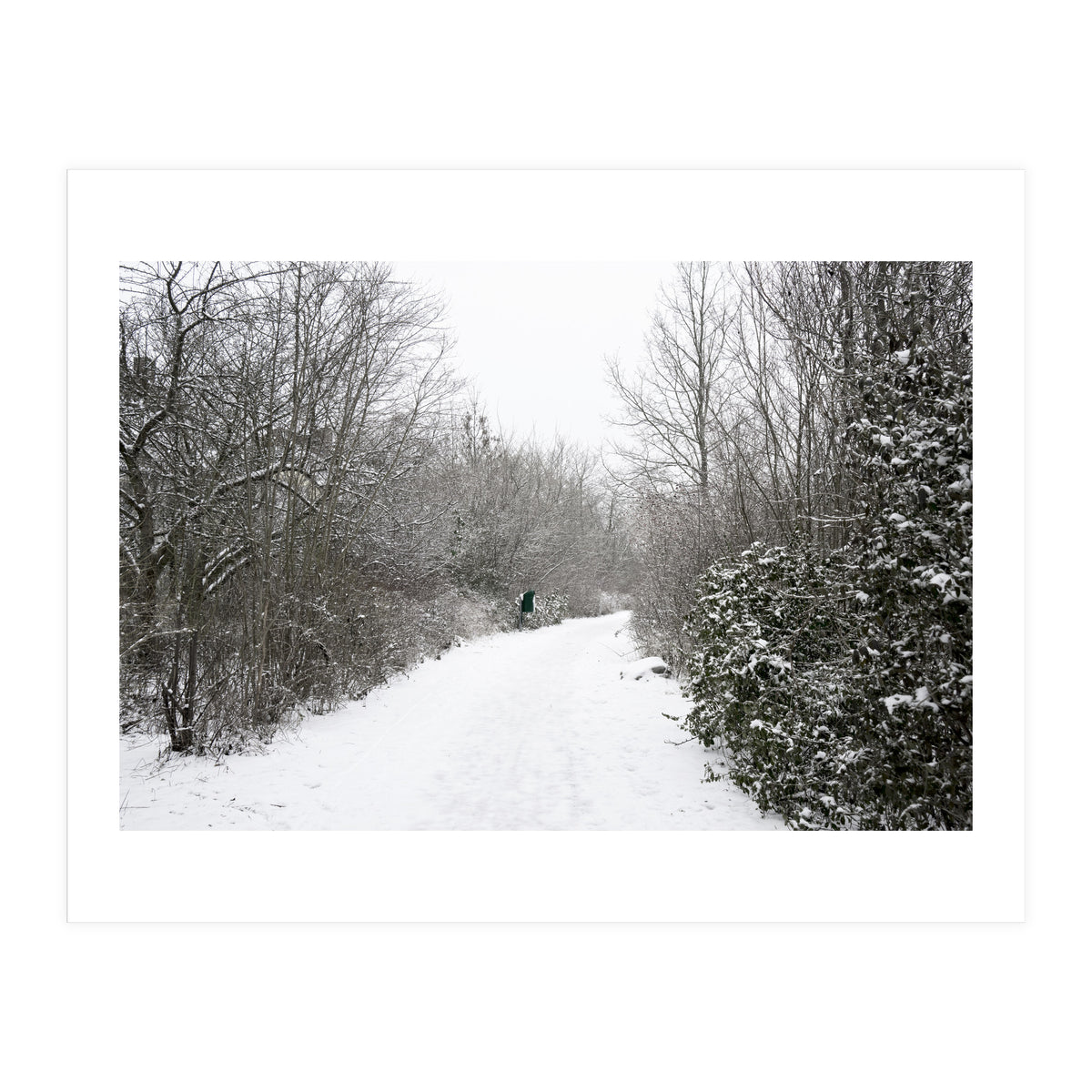 Walking through the snow park (Print Only)