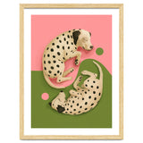 Yin And Yang Dalmatians thumbnail