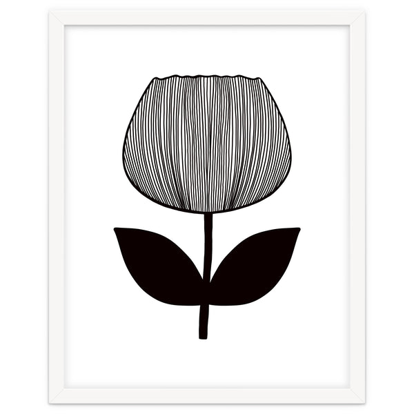 Tulip