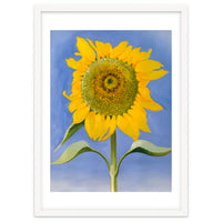 Georgia O’Keeffe – Sunflower, New Mexico (1935) | Bold Modernist Floral Painting Inspired by the American Southwest