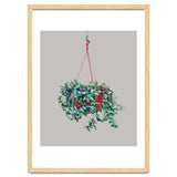 Hanging Plant thumbnail