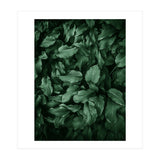 New Foliage Green Ii (Print Only) thumbnail
