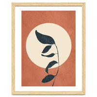 Summer Leaves