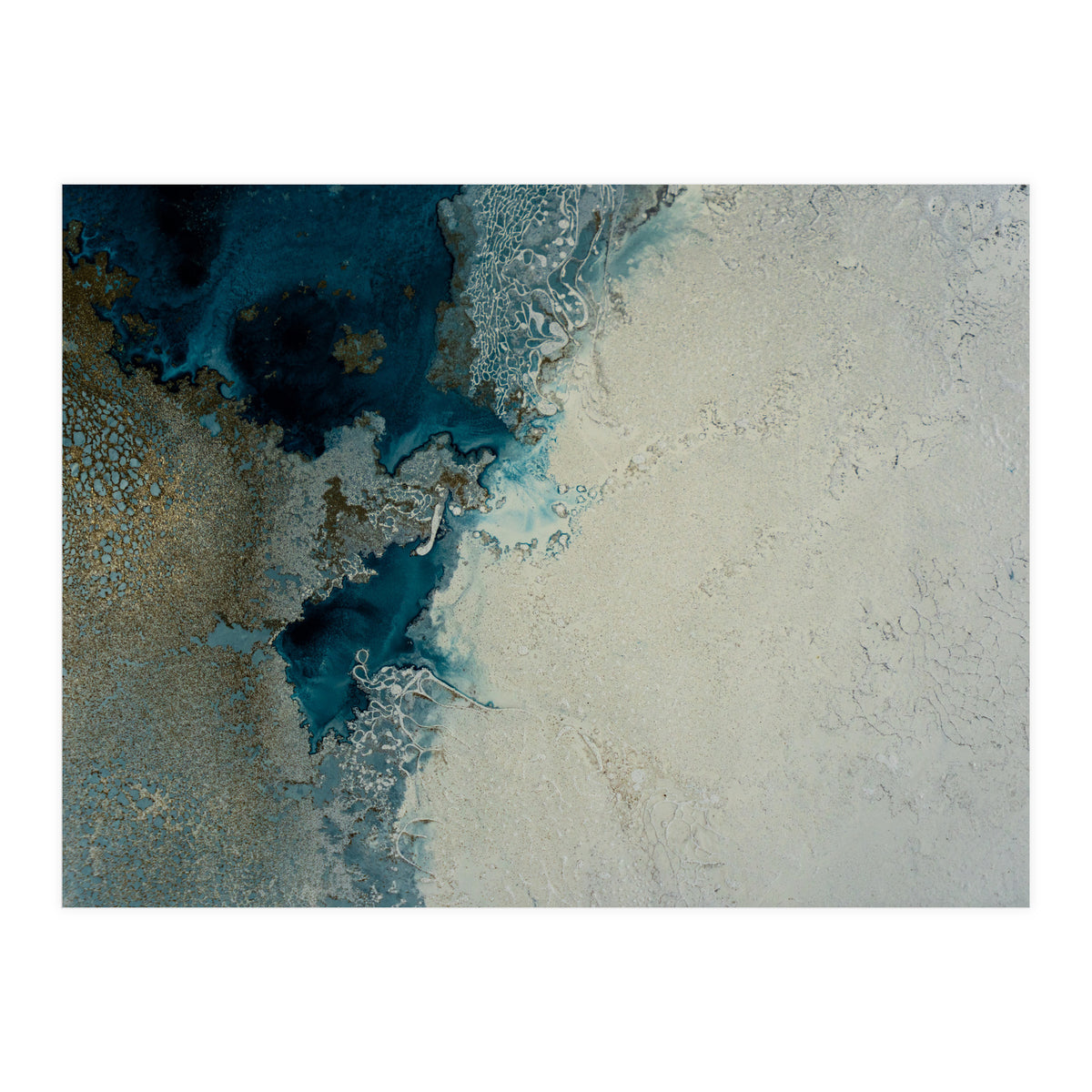 Harmony (Print Only)