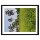 The Paddy Fields of Kerala, South India thumbnail