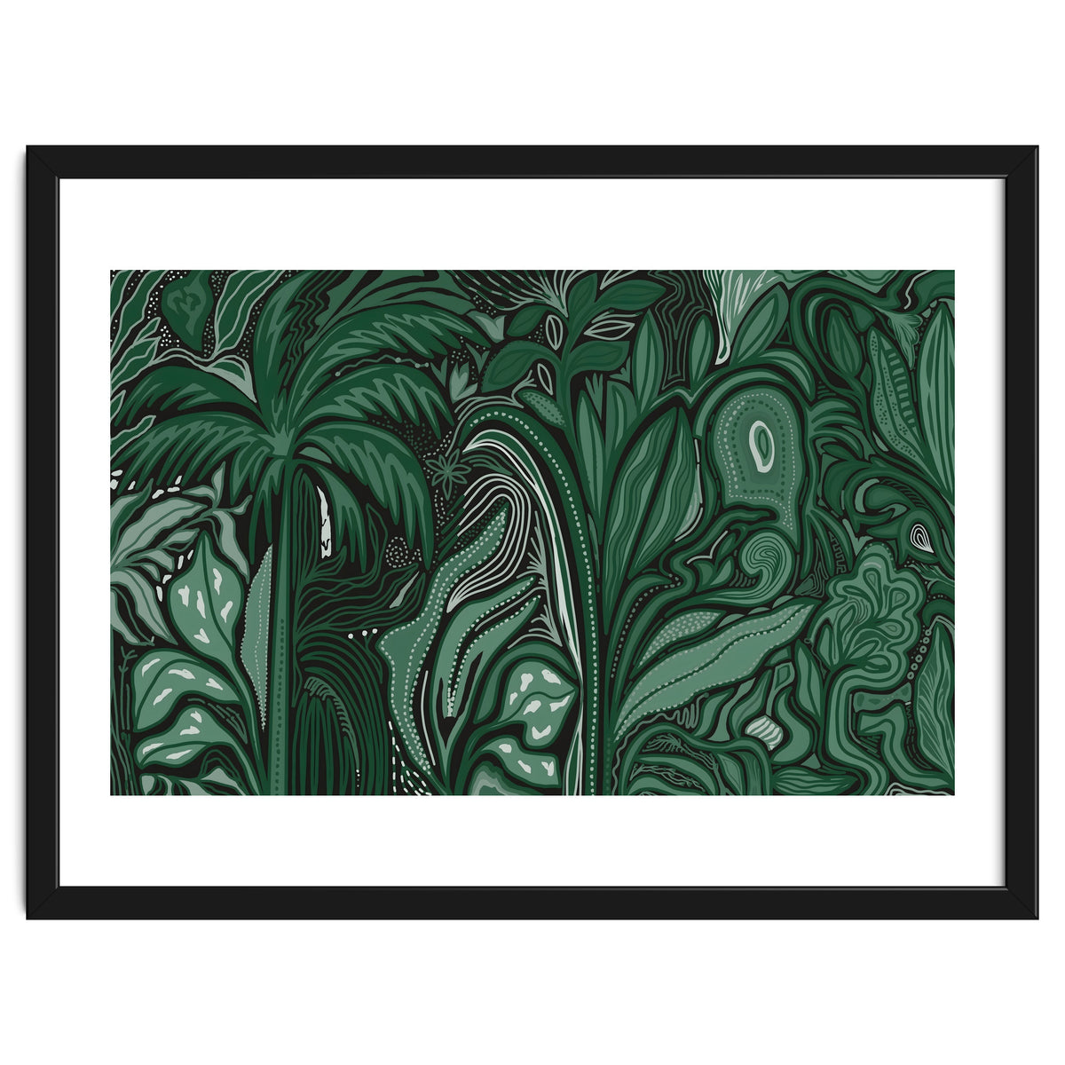 Noctiverdis magnifolia arcana tropical green