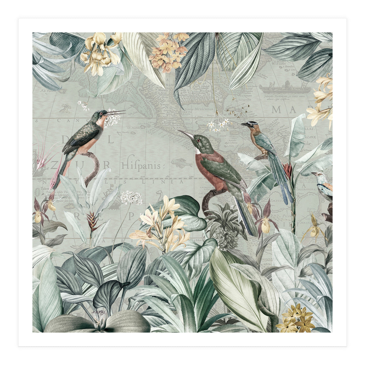 Vintage Exotic Birds Paradise Jungle (Print Only)