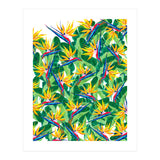 Summer Strelitzia (Print Only) thumbnail