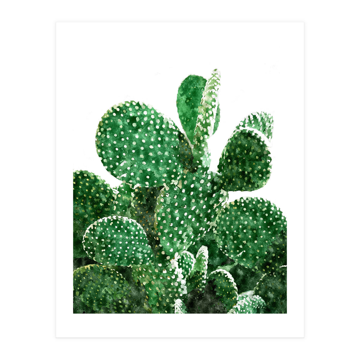 Velvet Cactus | Watercolor Botanical Plants | Minimal Boho Scandinavian Painting (Print Only)