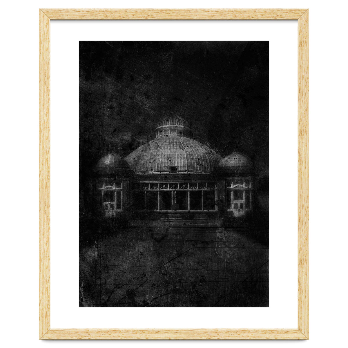 Allan Gardens Conservatory Palm House No 3 Old Film Version