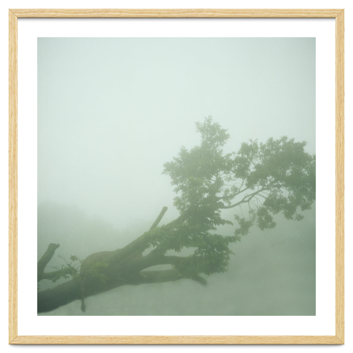 Silence of breath - 07