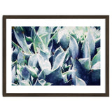 Cactus Garden thumbnail