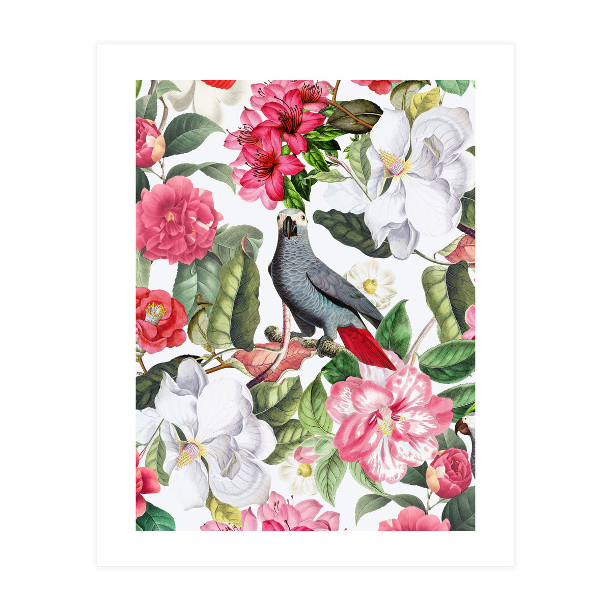 Vintage Cockatoo in Flower Jungle (Print Only)
