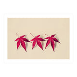Dancing Leaves (Print Only) thumbnail