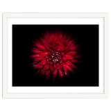 Backyard Flowers No 45 Color Flow Version thumbnail