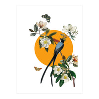 collage floral birds (Print Only)