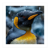 King Penguin Close Up In The Rain (Print Only) thumbnail