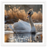 Majestic Swan On Calm Water During Sunset Nature Scene thumbnail