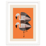 Tangerine Flamingos thumbnail