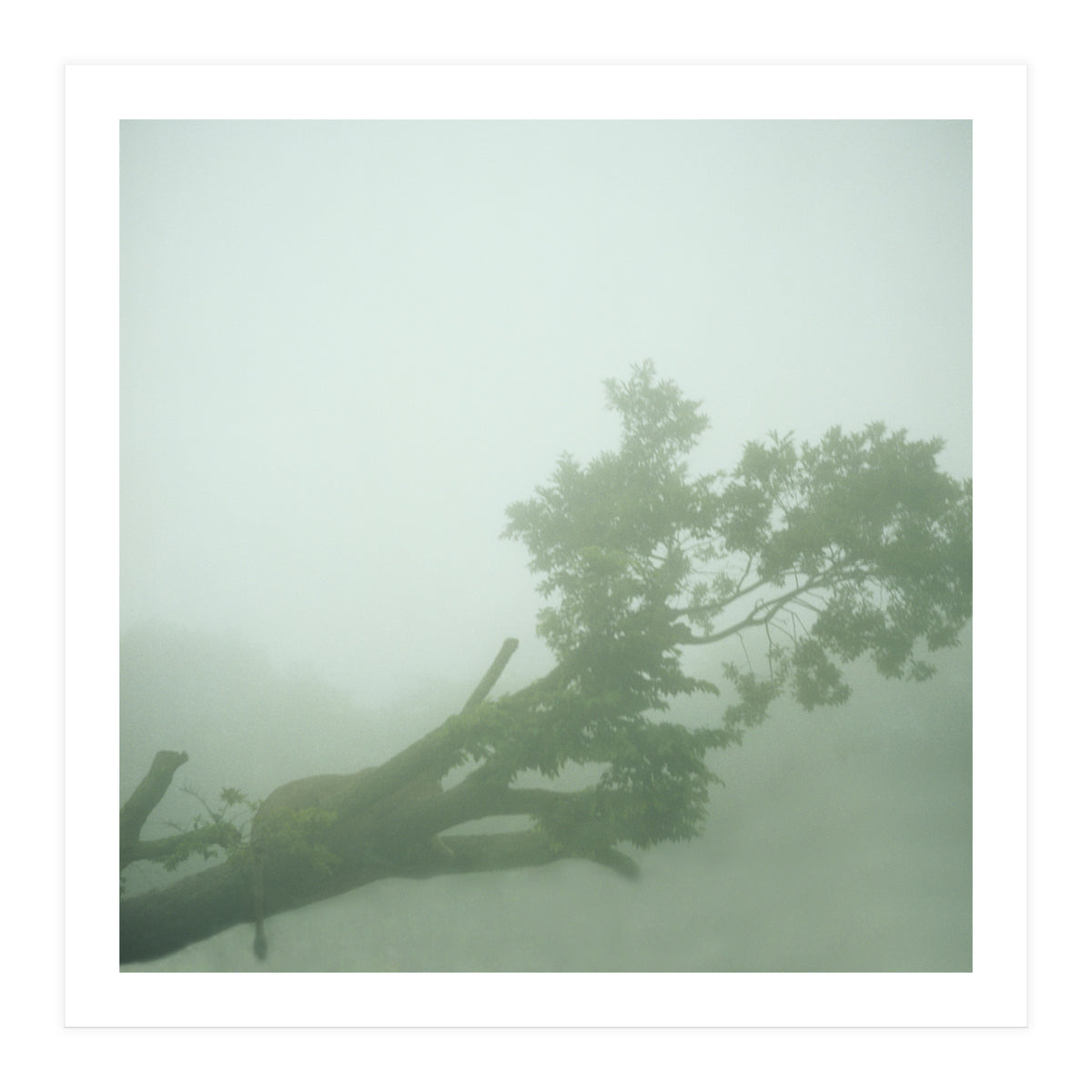 Silence of breath - 07 (Print Only)