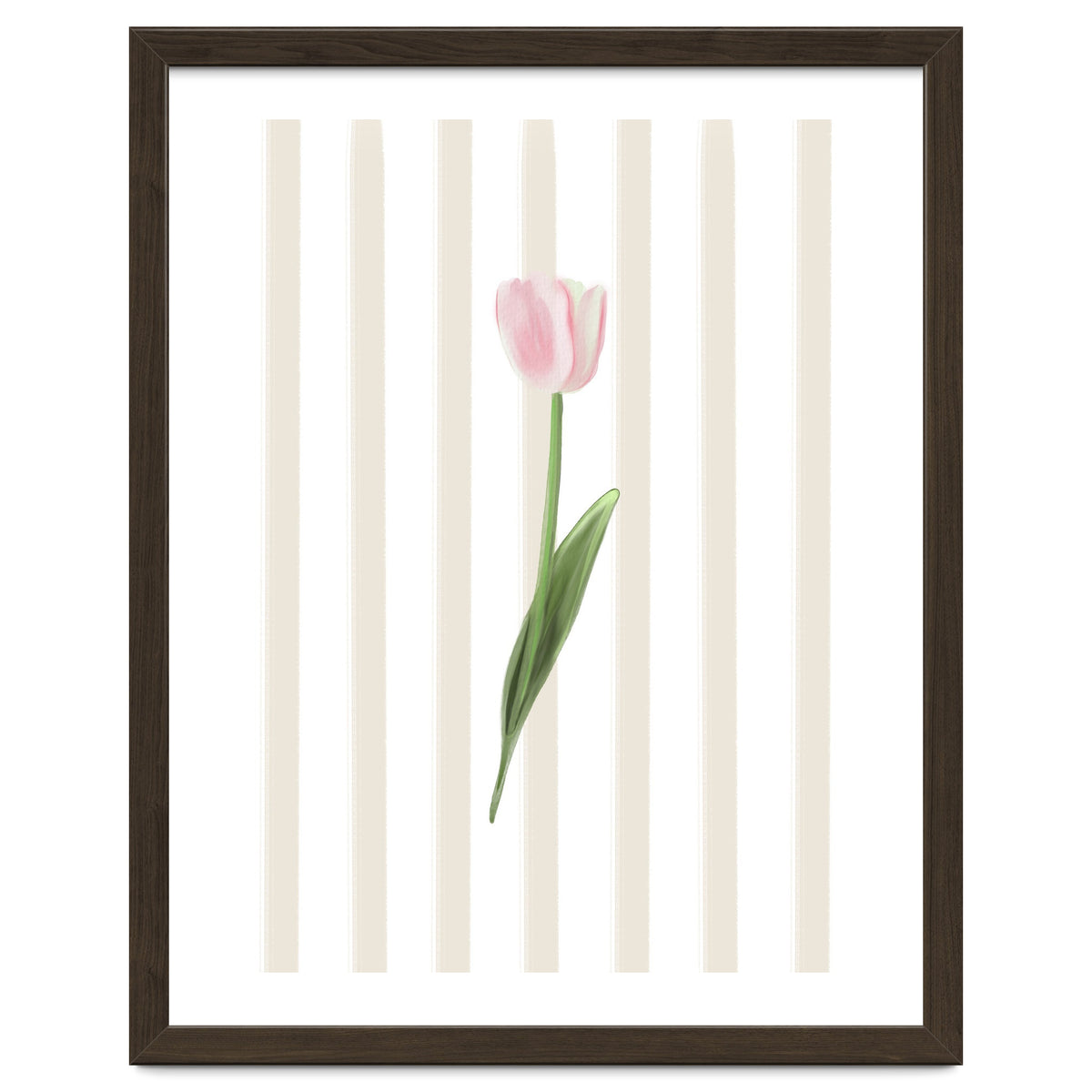 Single Tulip