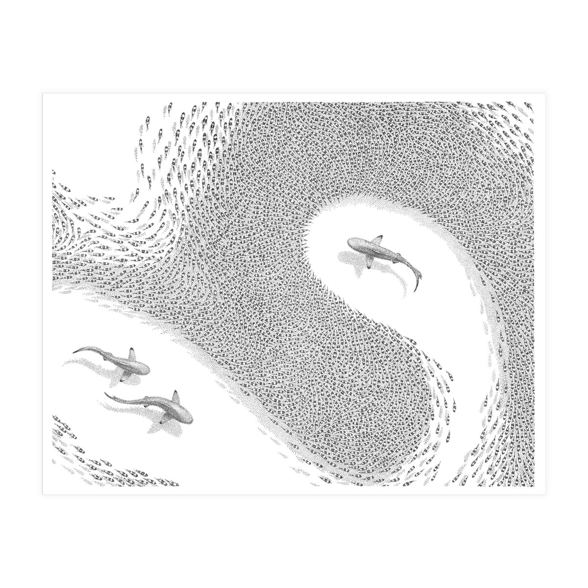 Strength In Numbers 2 (Print Only)