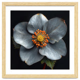 Hellebore | Silver Magic thumbnail