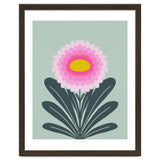 Chrysanthemum - turquoise and pink thumbnail