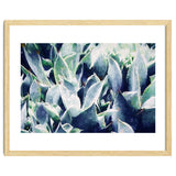 Cactus Garden thumbnail