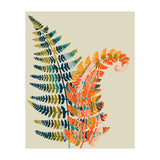 Colorful Fern Leaves (Print Only) thumbnail