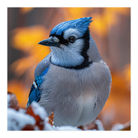 Blue Jay Bird In Winter Snowfall And Leaves (Print Only)