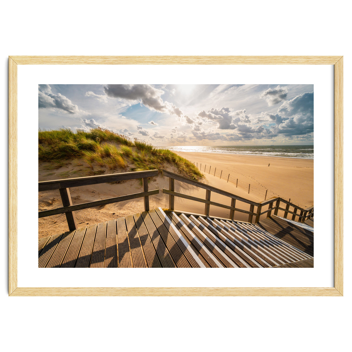 A day at the Dutch beach